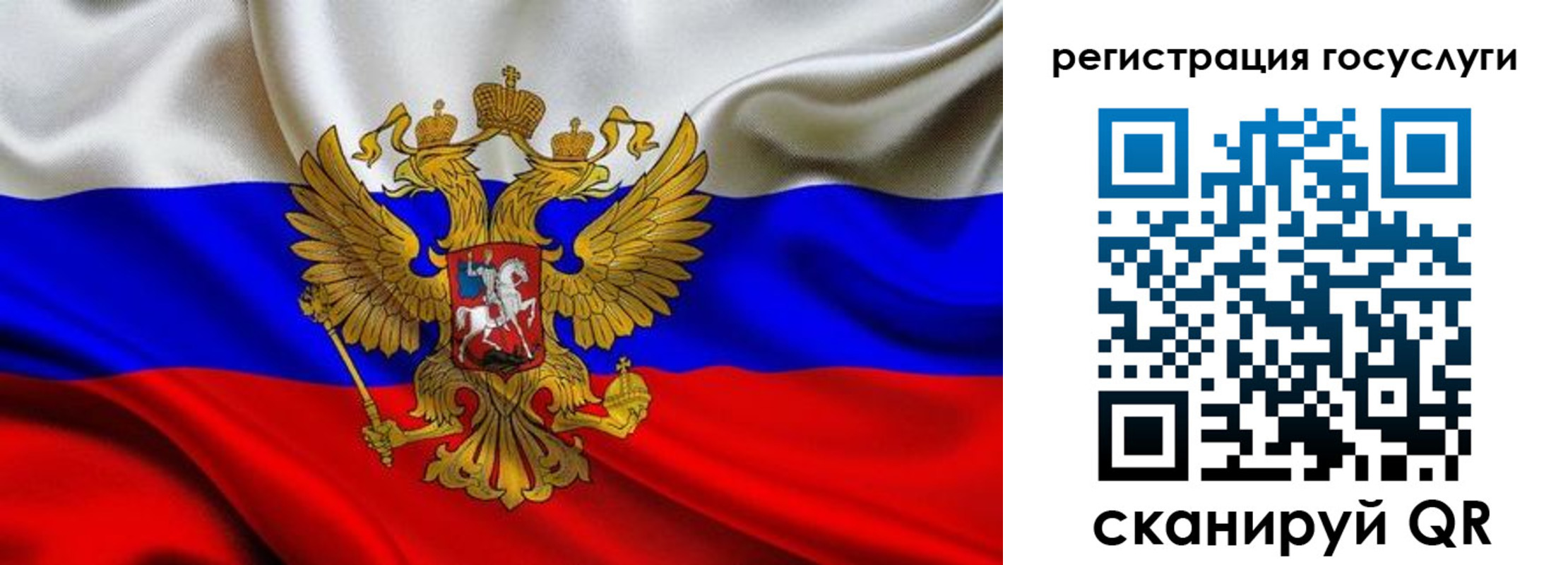 прописка гарантия в Павловском Посаде
